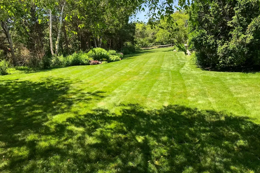 A freshly mowed lawn with visible mowing stripes in a sunny yard.